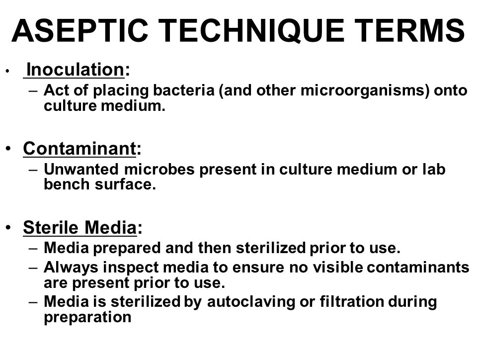 Bacterial Cultures, Bacillus megaterium